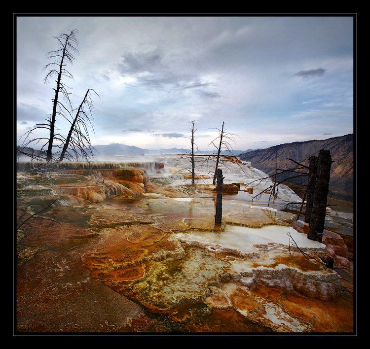 minerva terrace, mammoth hot springs, yellowstone., Vadim Balakin