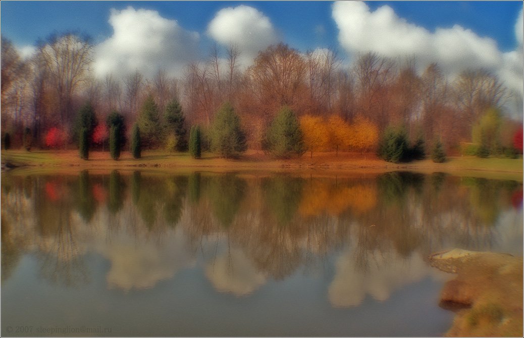 пейзаж, осень, пленка, 35 мм, pilgrim, Pilgrim
