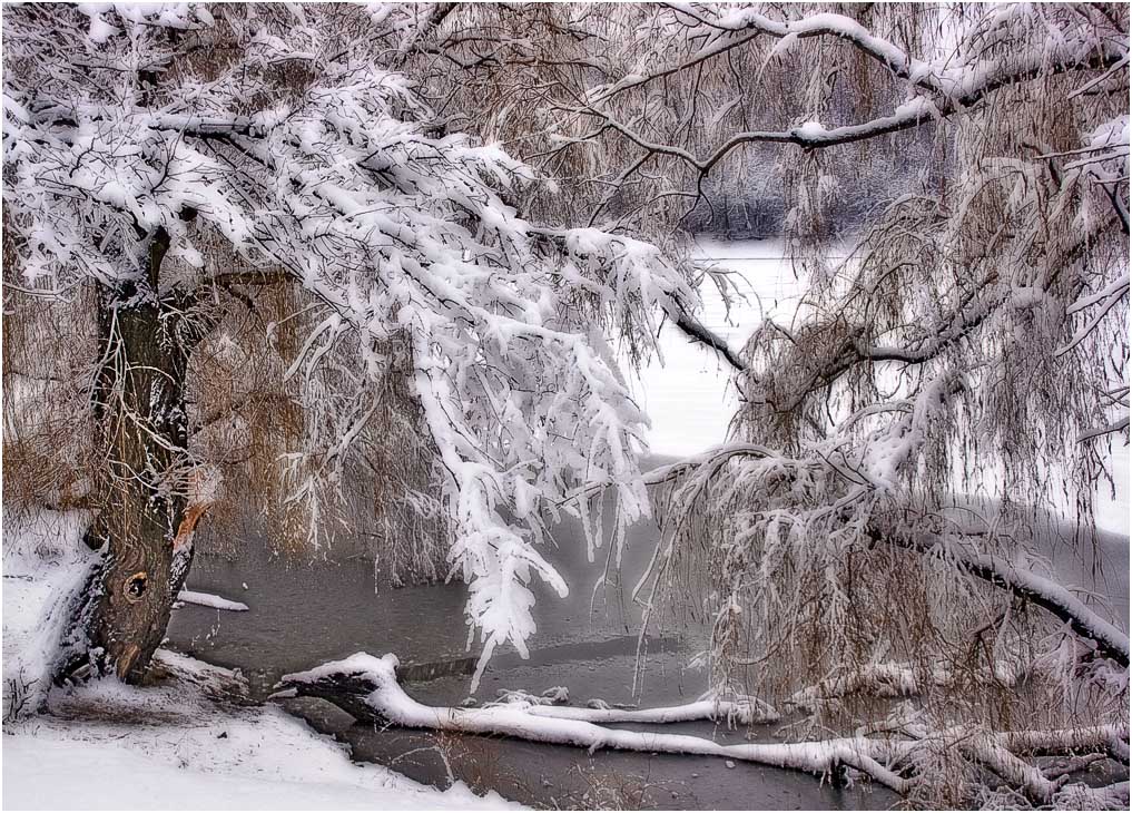 пейзаж, лес, осень, вода, снег, ивушка, Александр Батурский