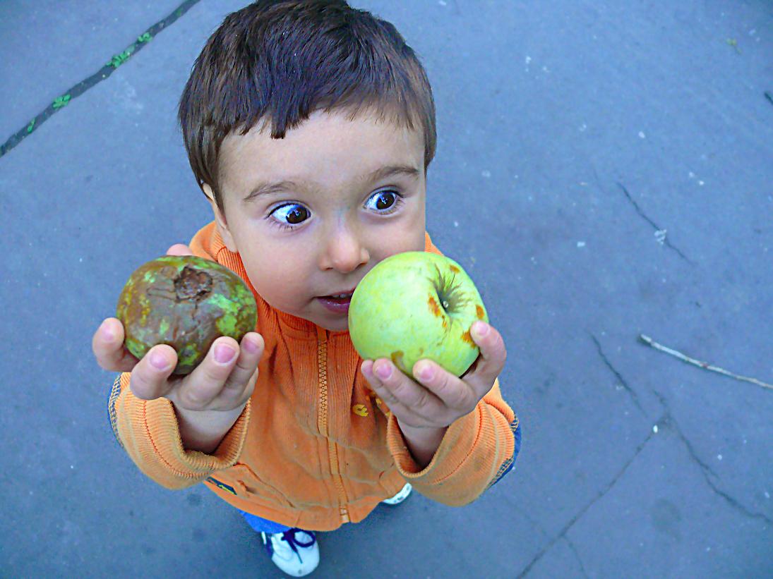 яблоки, глаза, эмоция, ребенок, мальчик, Василевская Надежда