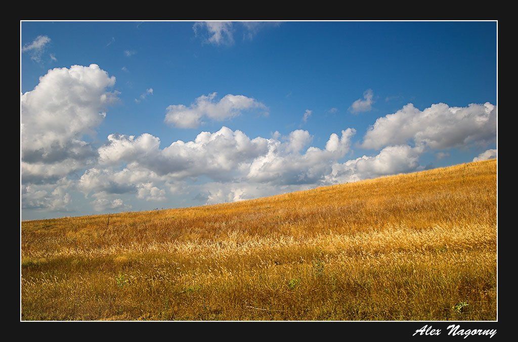 пейзаж, поле, небо, облака, український, прапор, хмари, ФотоМаньяк