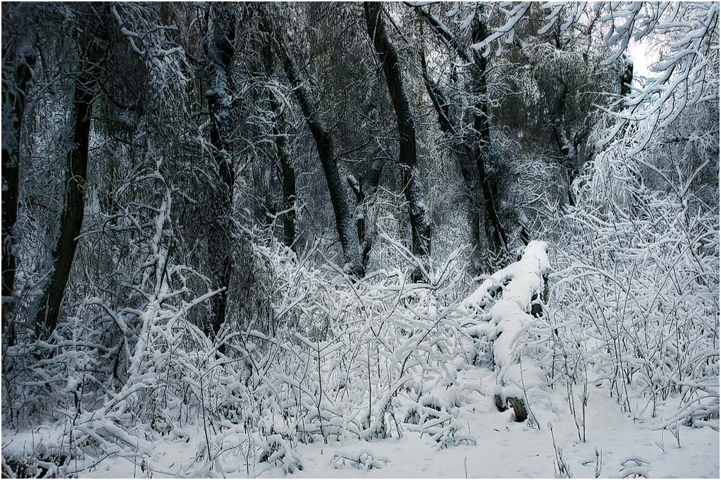 , Александр Батурский