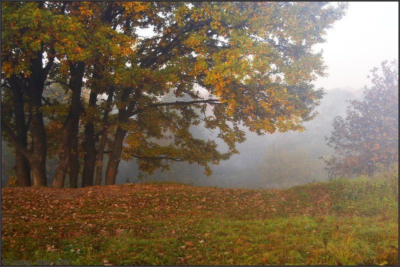 осень, октябрь, утро, туман, пейзаж, Андрей Житков