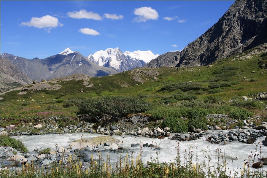 алтай, ледниковая река, белуха, Олег Шубаров