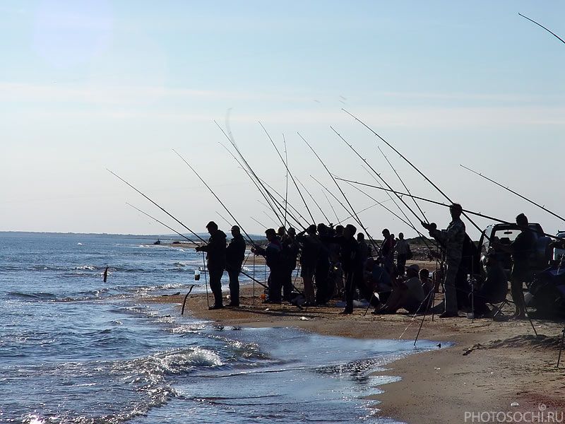 море, рыбалка, черное море, photosochi.ru, Евгений Харланов