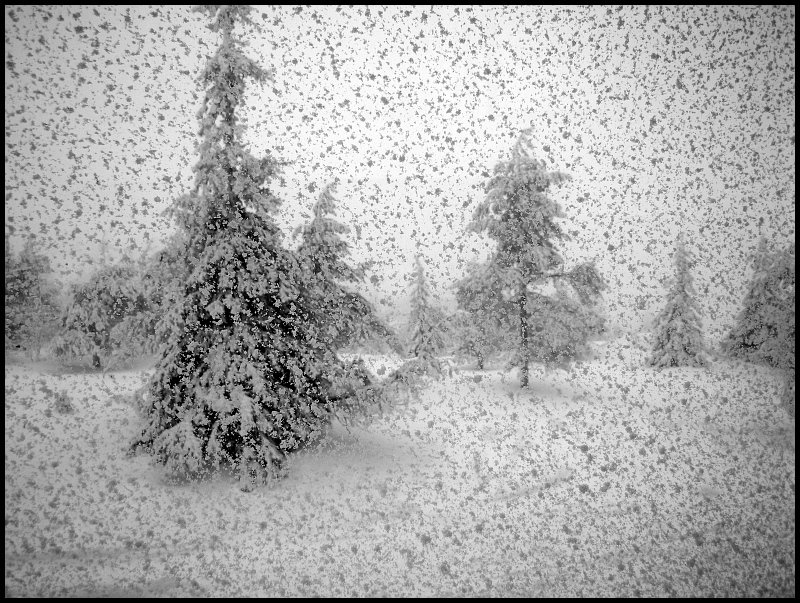 снег, Cairns (Павел Васильев)