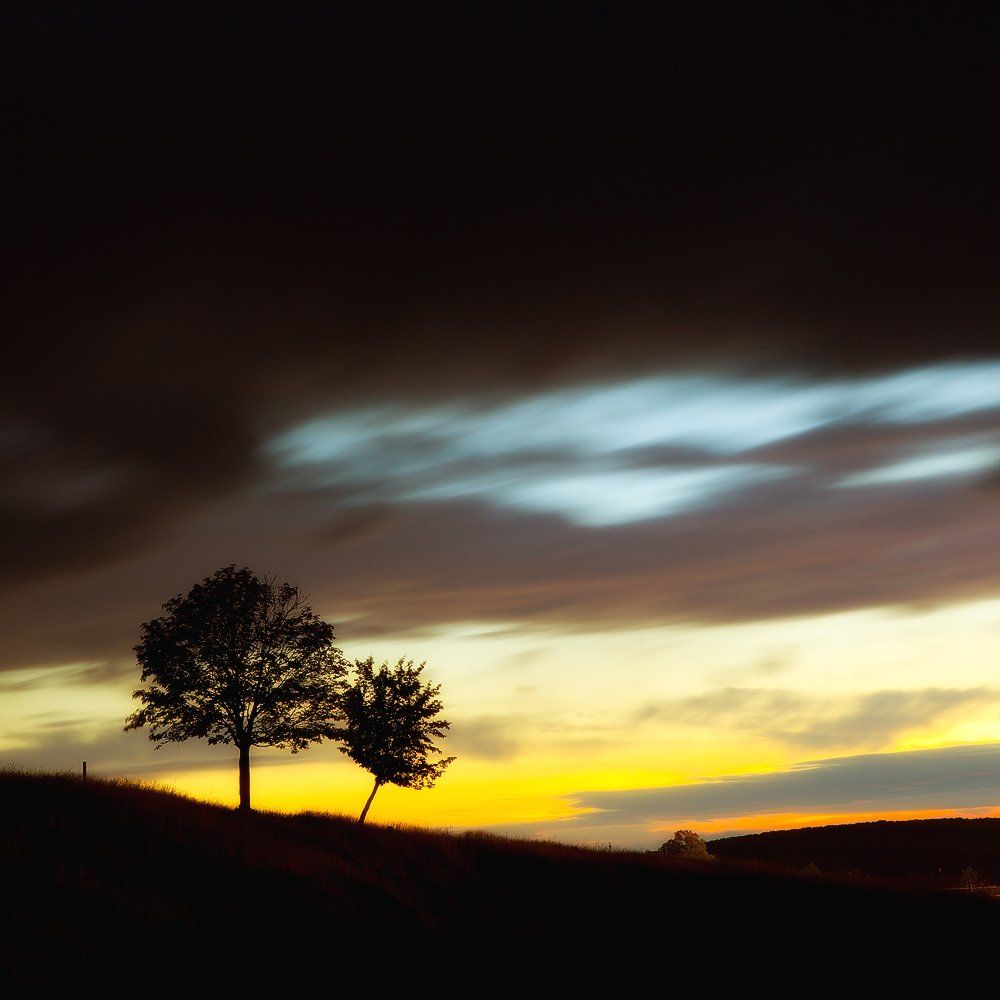 дерево, закат, Євген Кукулка
