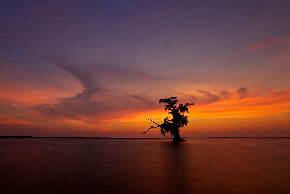 louisiana, lake, tree, swaps, sunset, Евгений Васенёв