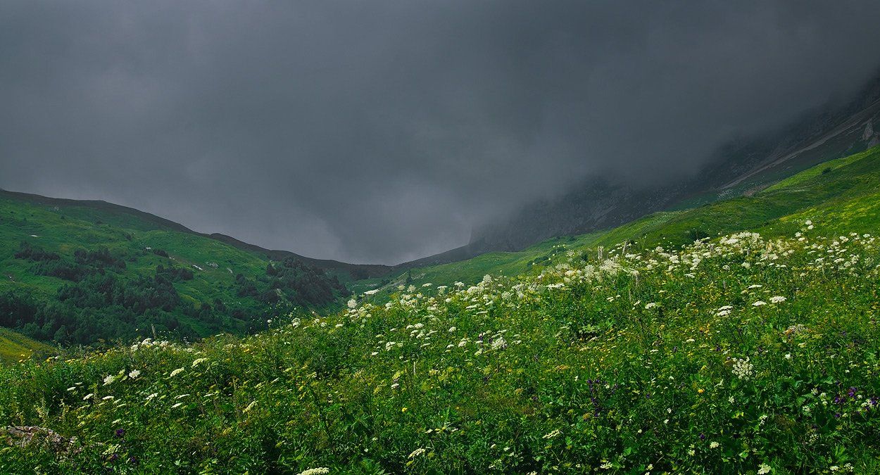 горы, тучи, трава, непогода, Олег