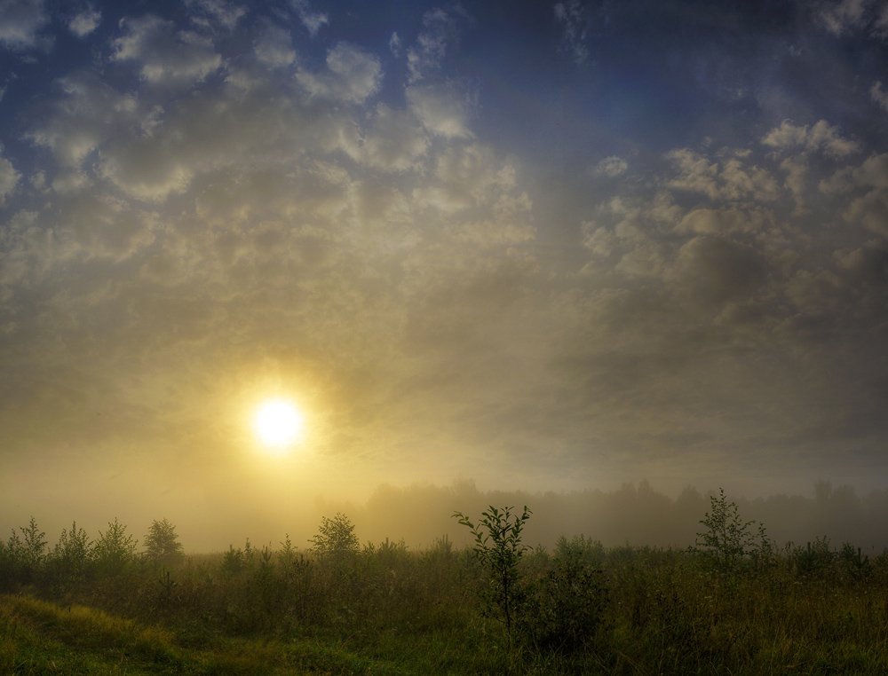 утро, туман, август, Алексей Баяндин