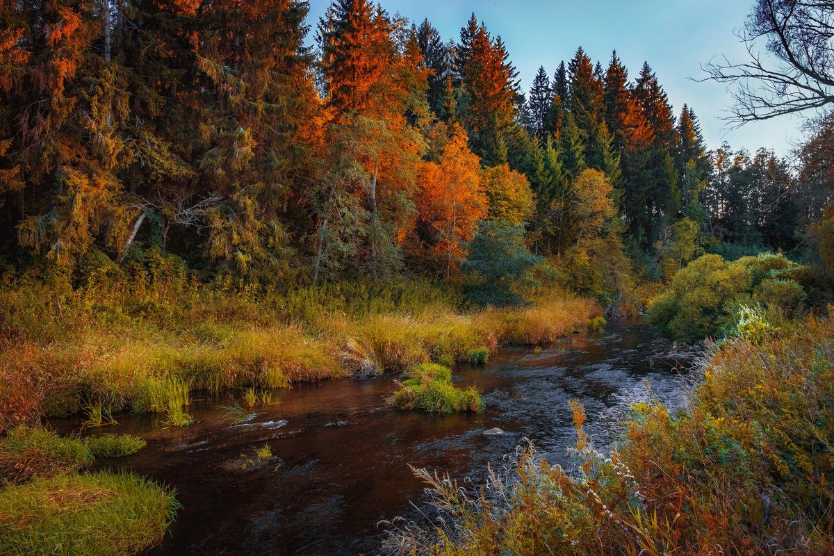 осень, пейзаж, река, лес, Екатерина