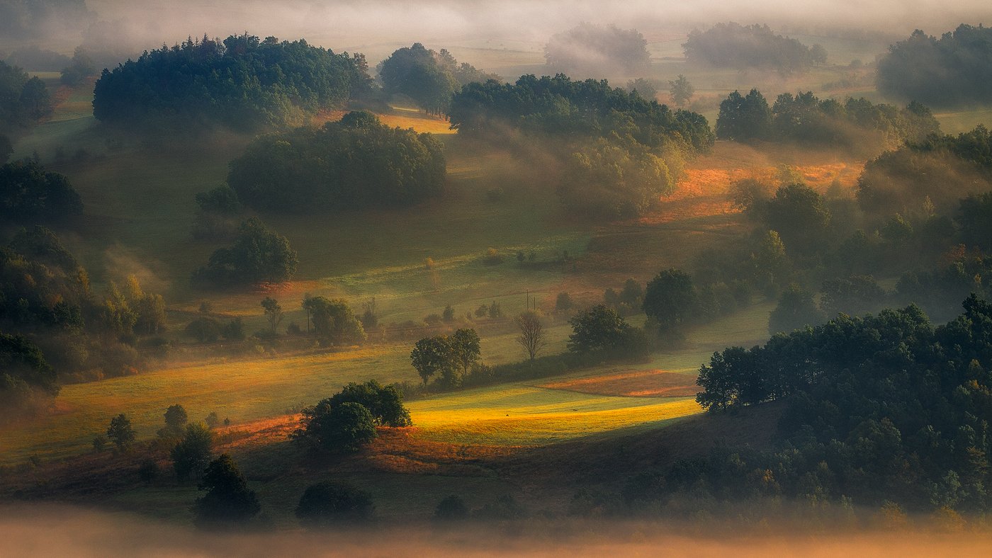 landscape,canon,mist,light,summer, Iza i Darek Mitręga