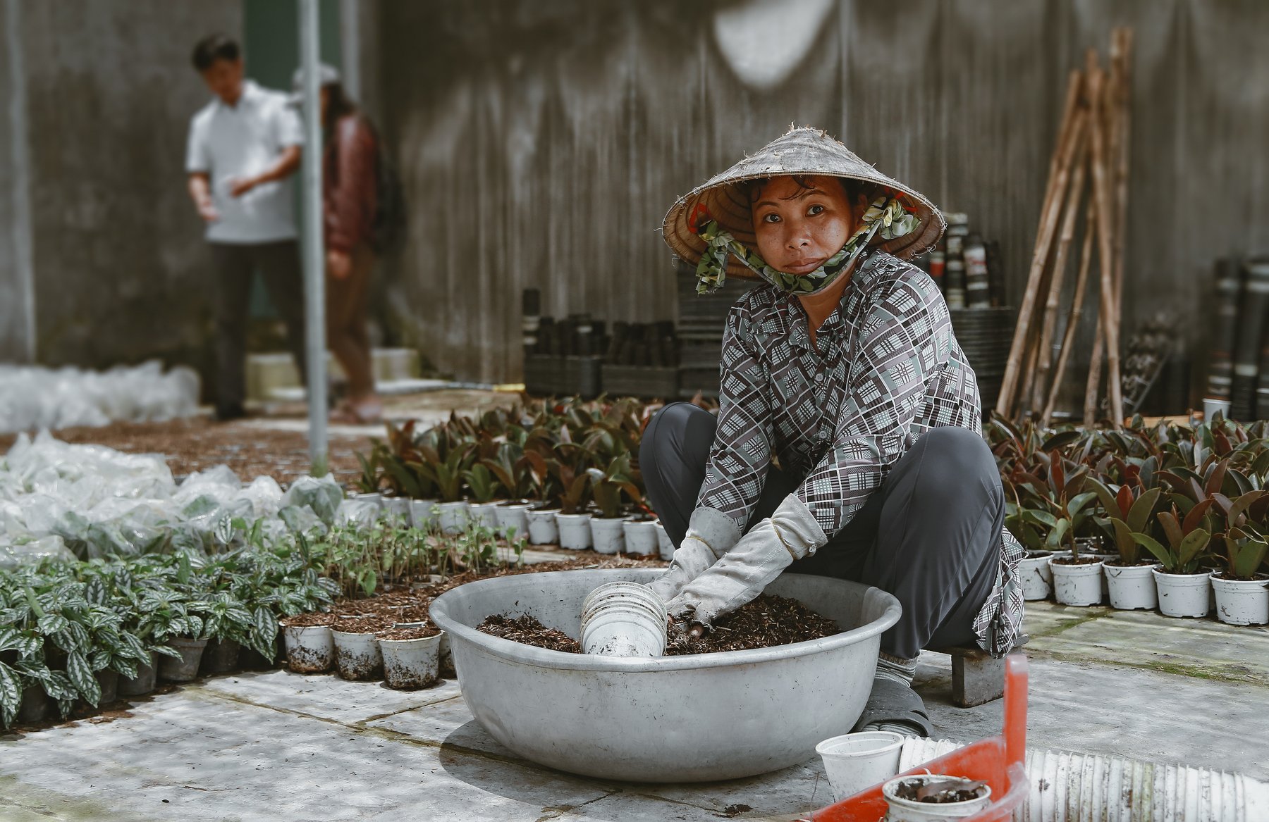 gardener, Vietnamese, portrait, canon, 6d, Gansukh .S