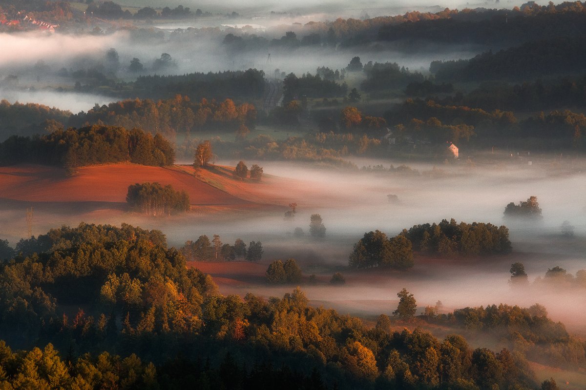landscape,canon,mist,light,summer, Iza i Darek Mitręga