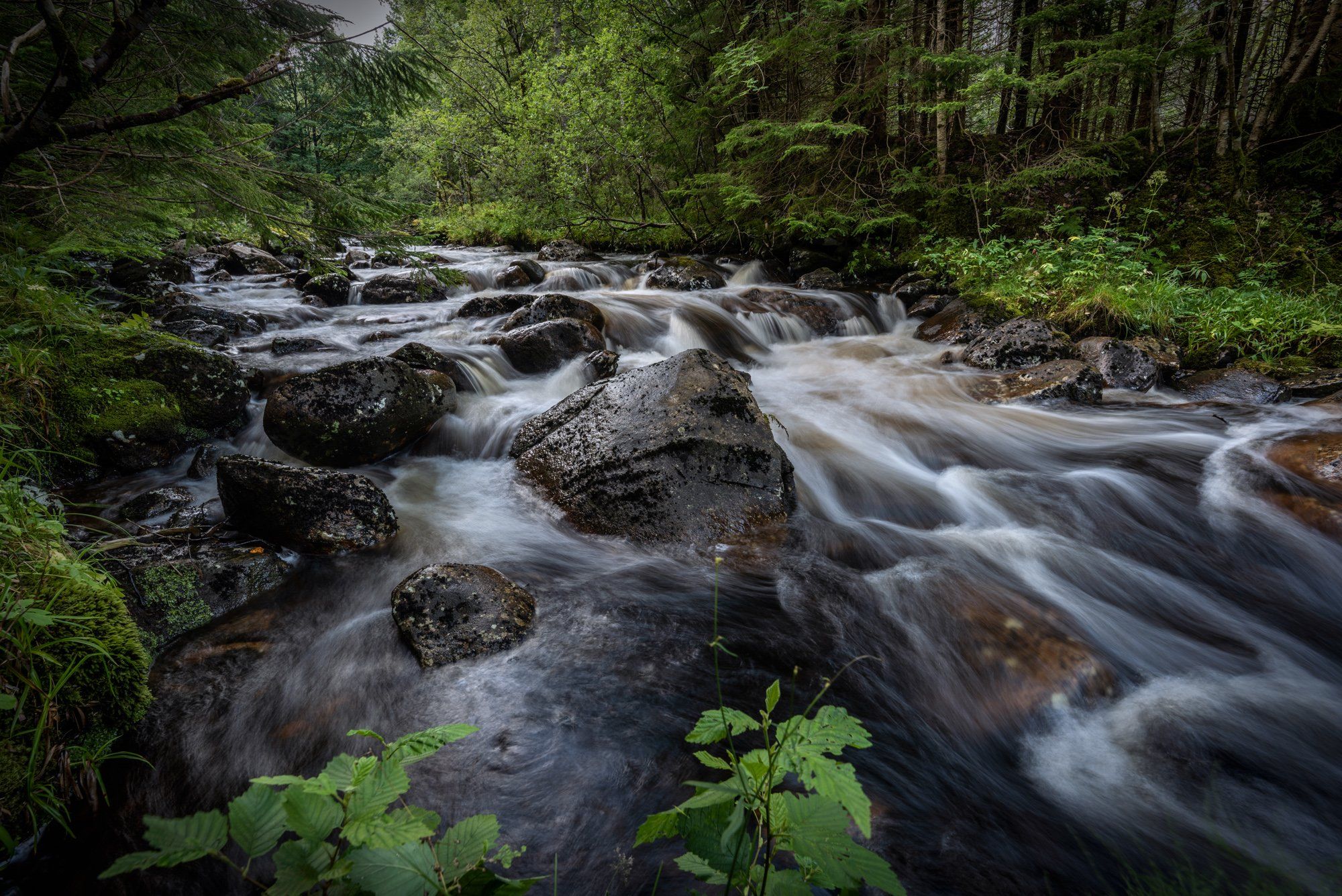 nisi filters, long exposure, landscape, nature, green, forest, river, water, nikon, Sylwia Grabinska