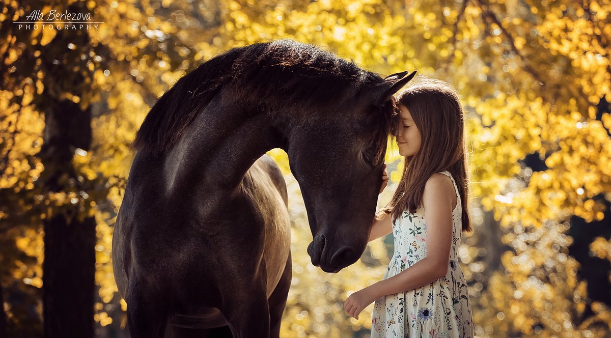 лошадь, horse, девочка, girl, Alla