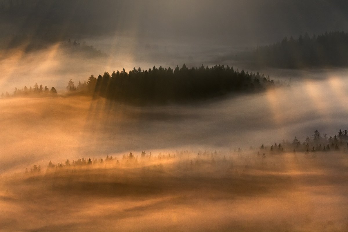 landscape,canon,mist,light,autumn, Iza i Darek Mitręga