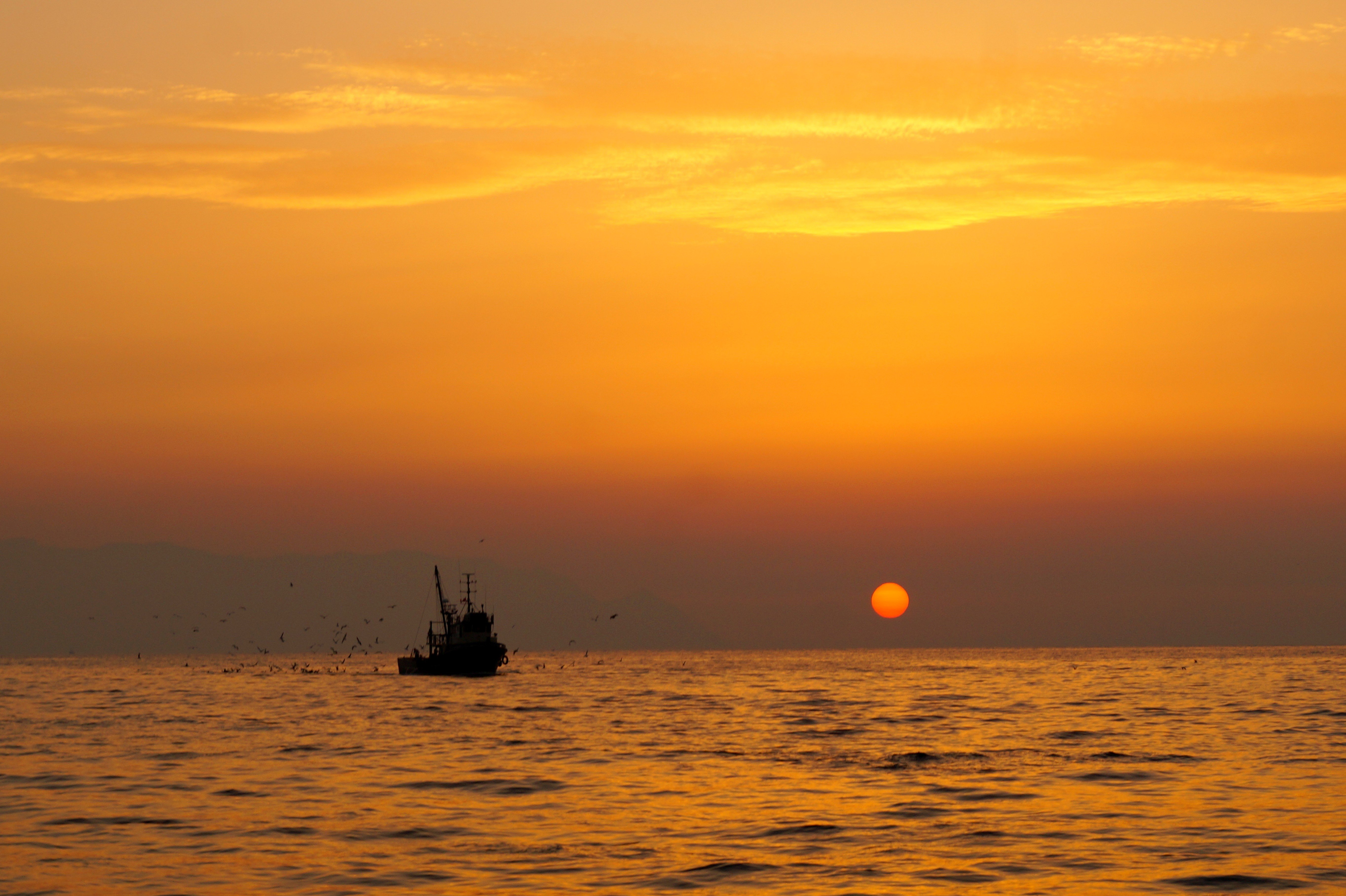 Kuşadası, hilmi ayhan