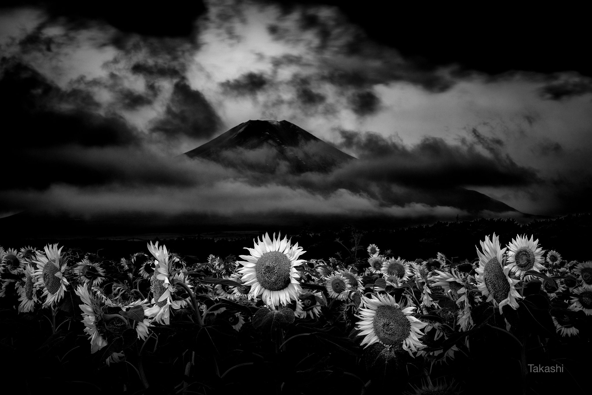 fuji,mountain,closer,japan,sunflower,cloud,amazing,, Takashi