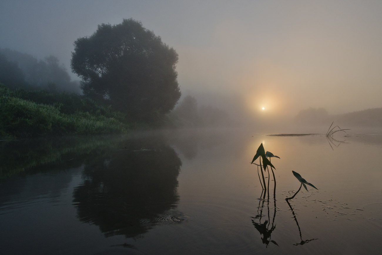 утро, рассвет, река, упа, пейзаж, якшино, Михаил Агеев