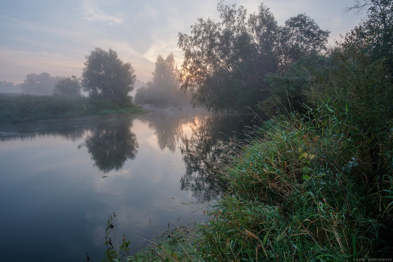 река, утро, рассвет,туман,воря, подмосковье, сентябрь,пейзаж,деревья, природа, Горшков Игорь