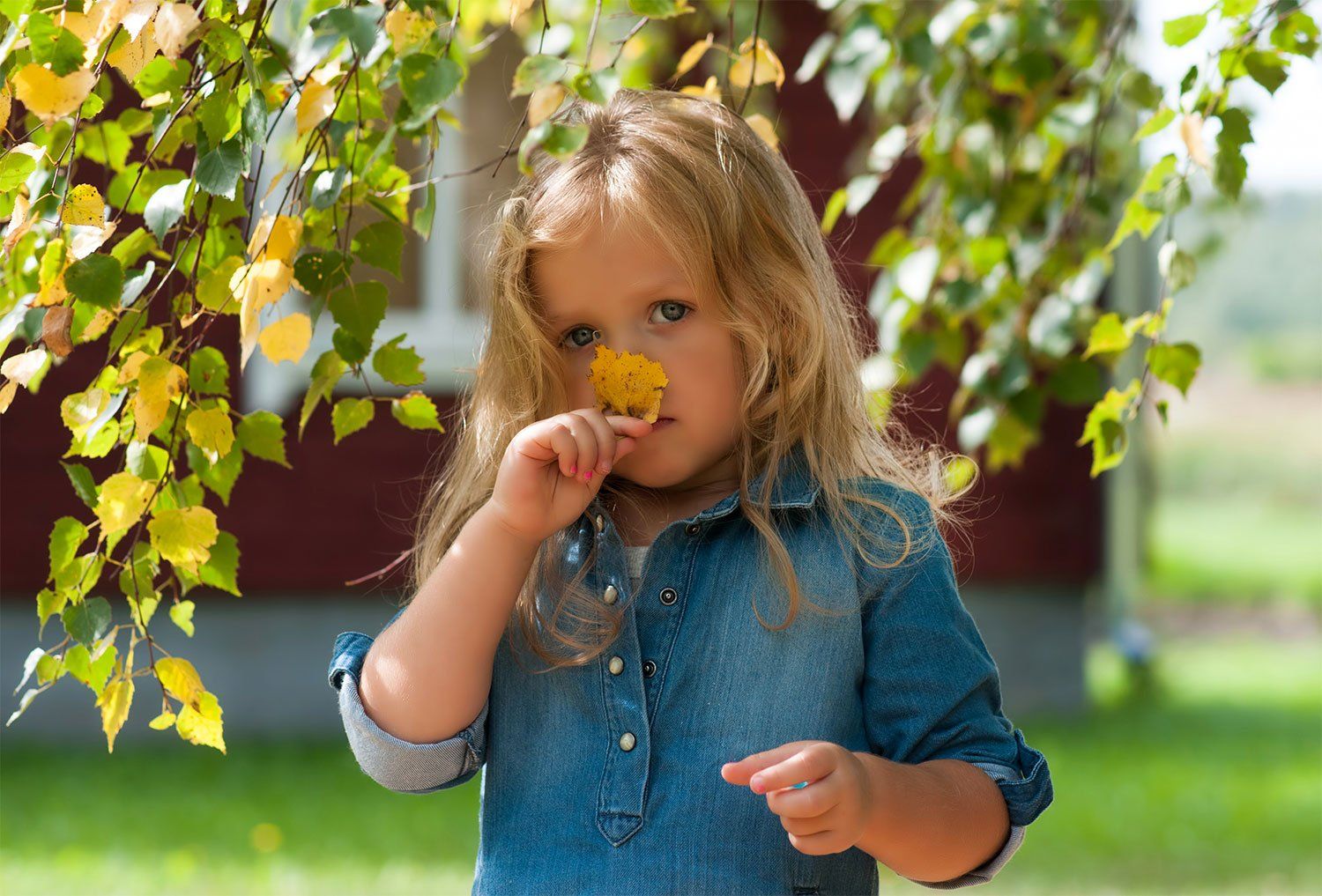 girl,autumn,leaf,colors, Daiva Cirtautė