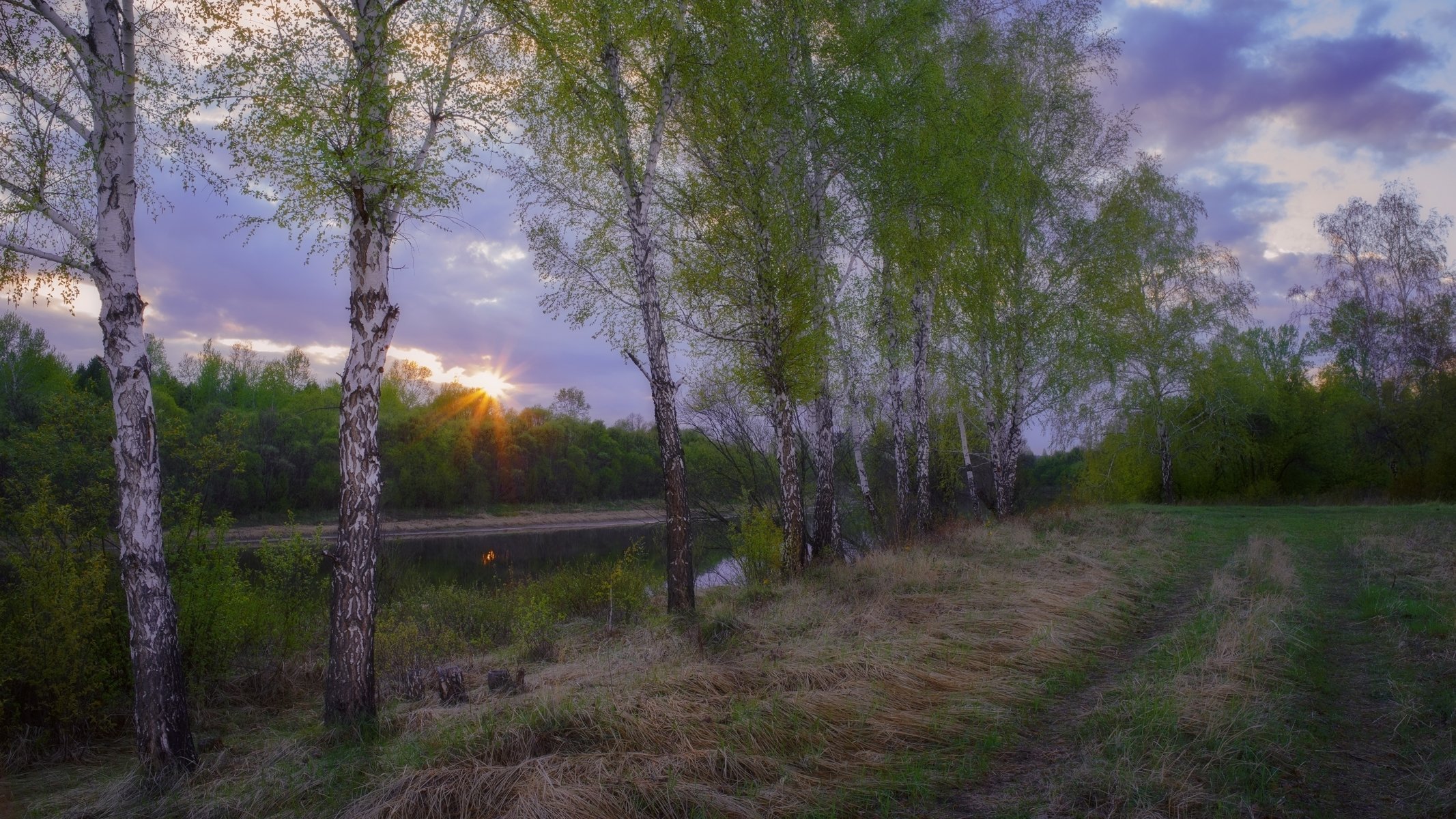 май,вечер,закат,берег реки,березы, молодая листва,may, evening, sunset, river bank, birch, young foliage,, Сергей Козлов