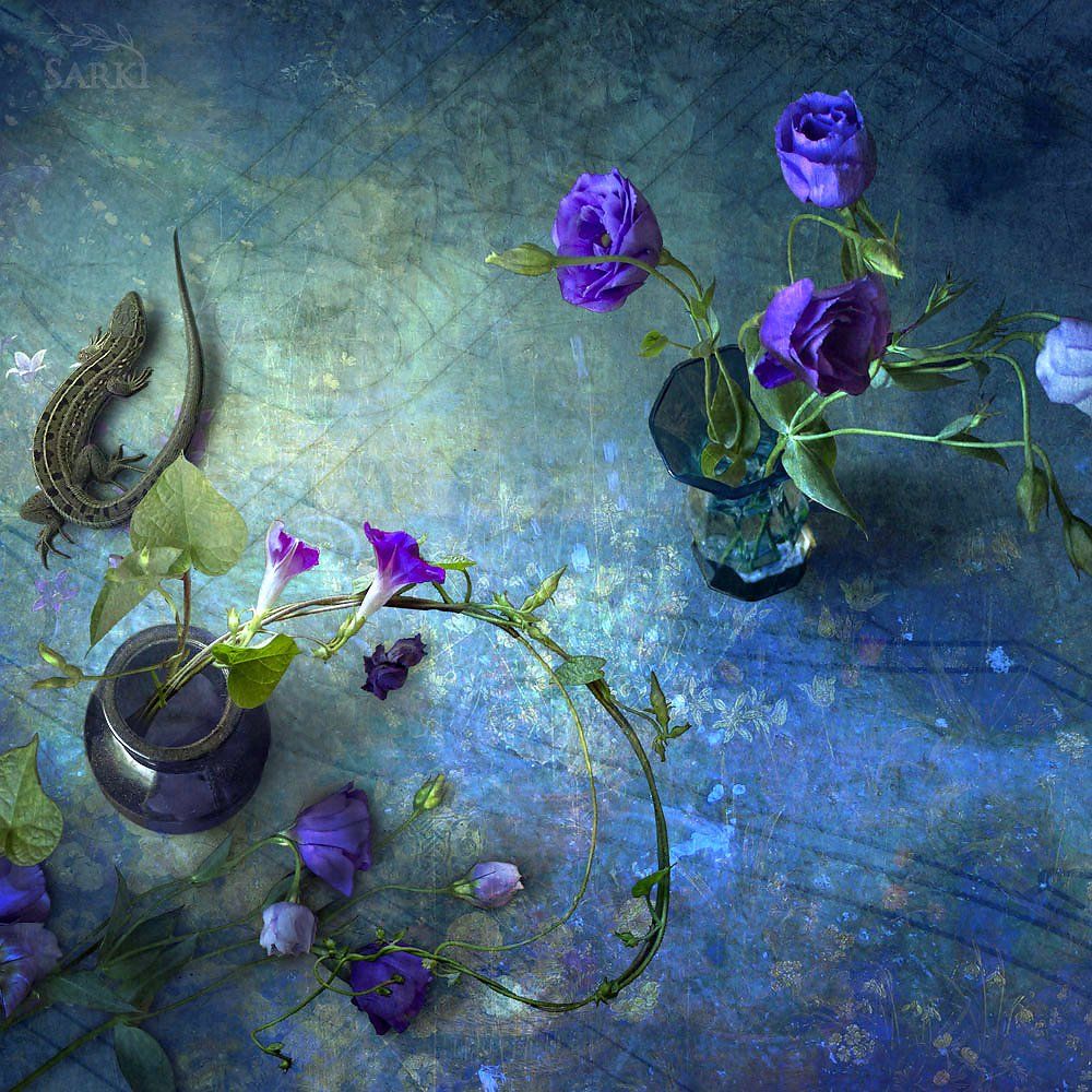 sarki ящерица цветы, Станислав Солагаян