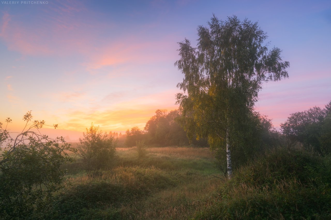 утро, рассвет, природа, пейзаж, туман, Валерий Притченко