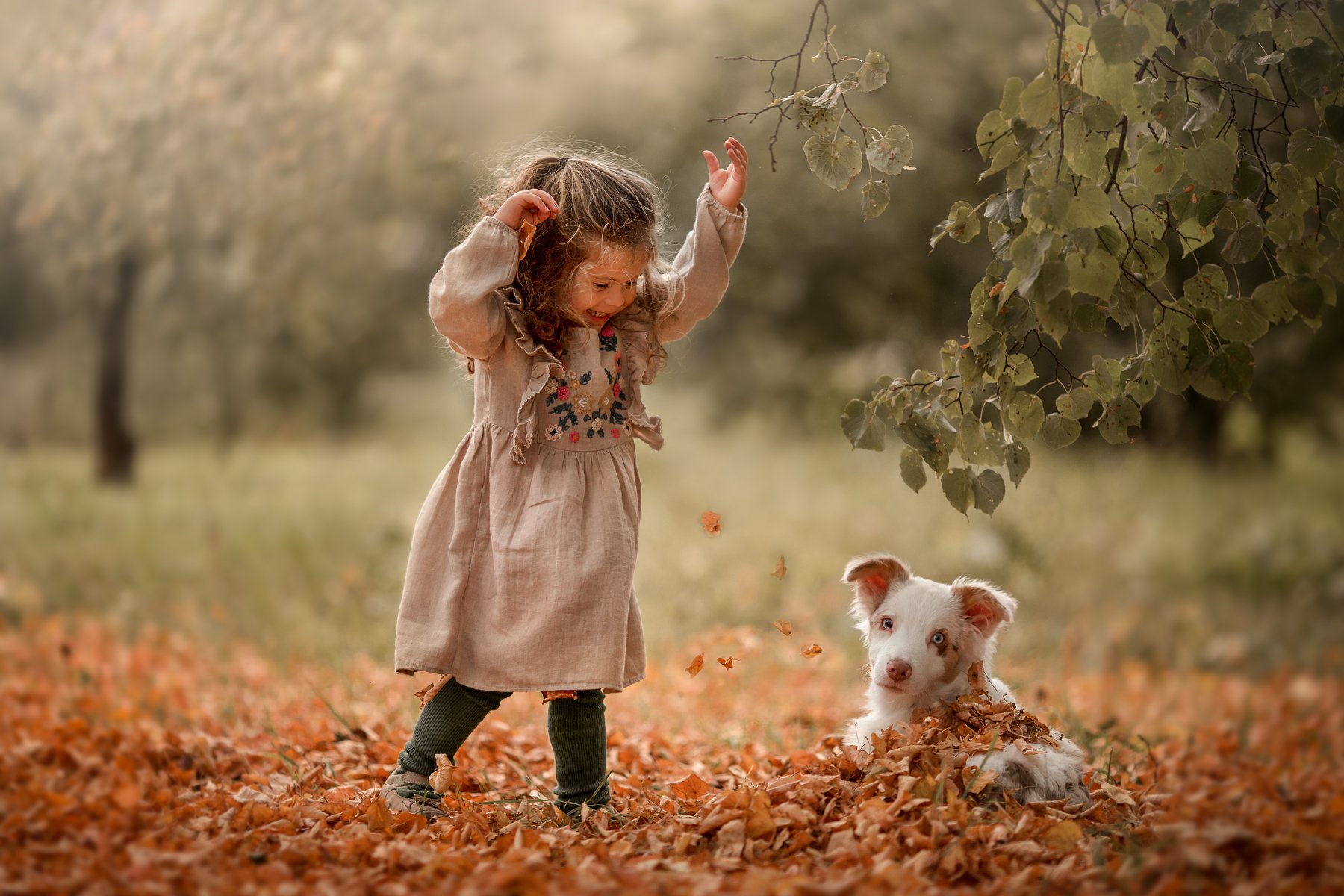 Девочка, улыбка, веселье, прогулка, собака, осень, листва, Юлия Храпова