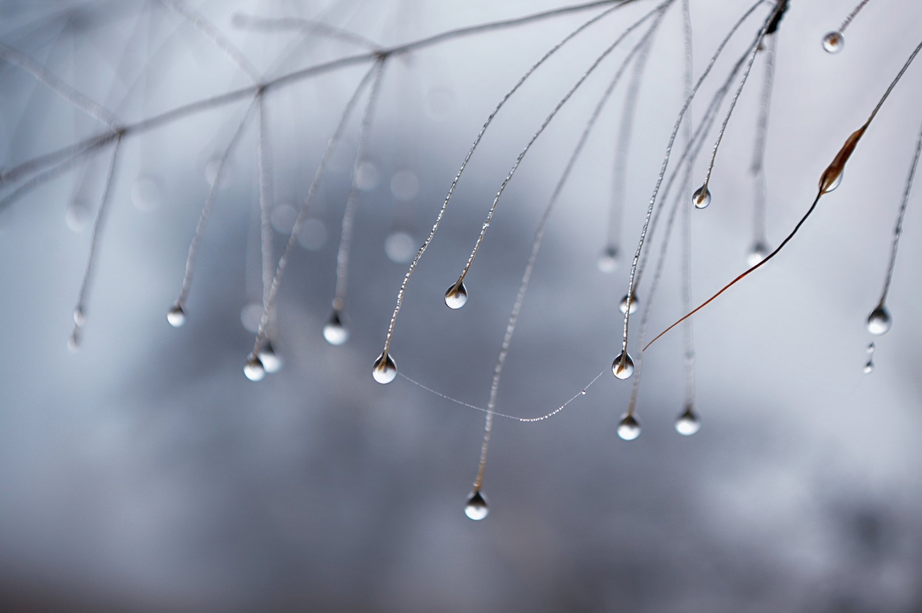 fragility, macro, drops, Teodora Sarbinska