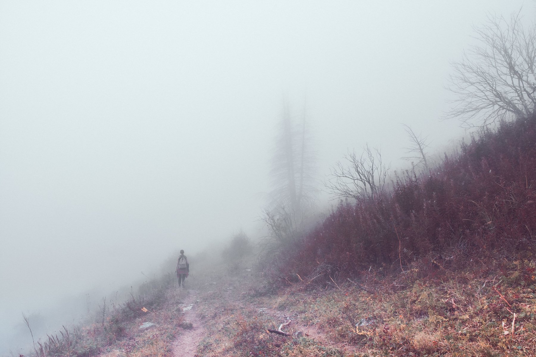 горы, лес, природа, туман, дорога, пейзаж, непогода, Василий Шумкин