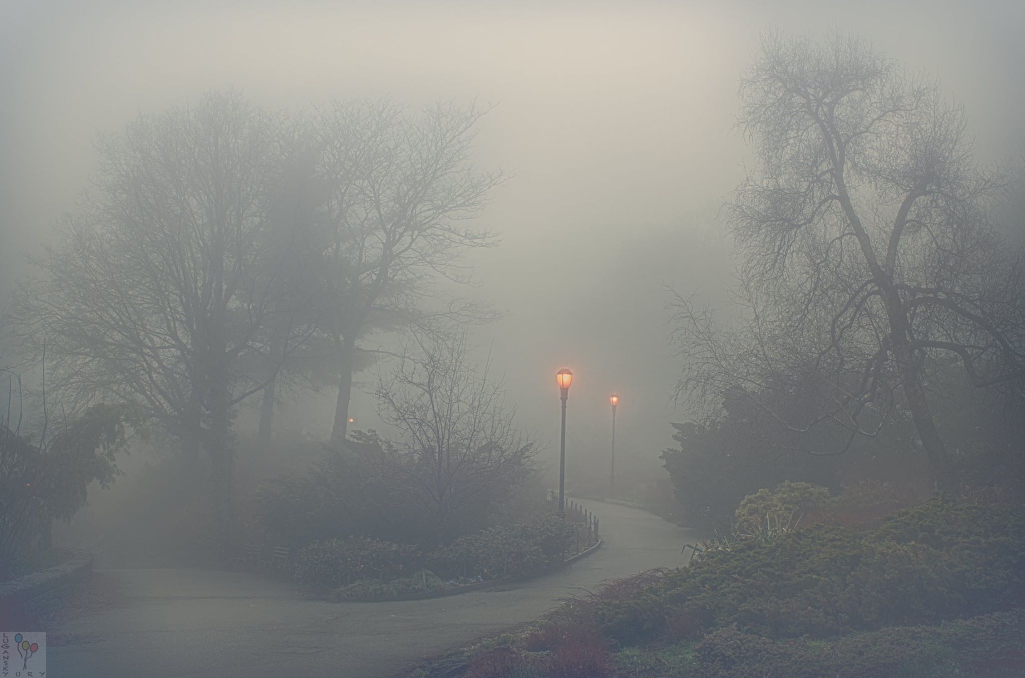 Утренний туман в парке