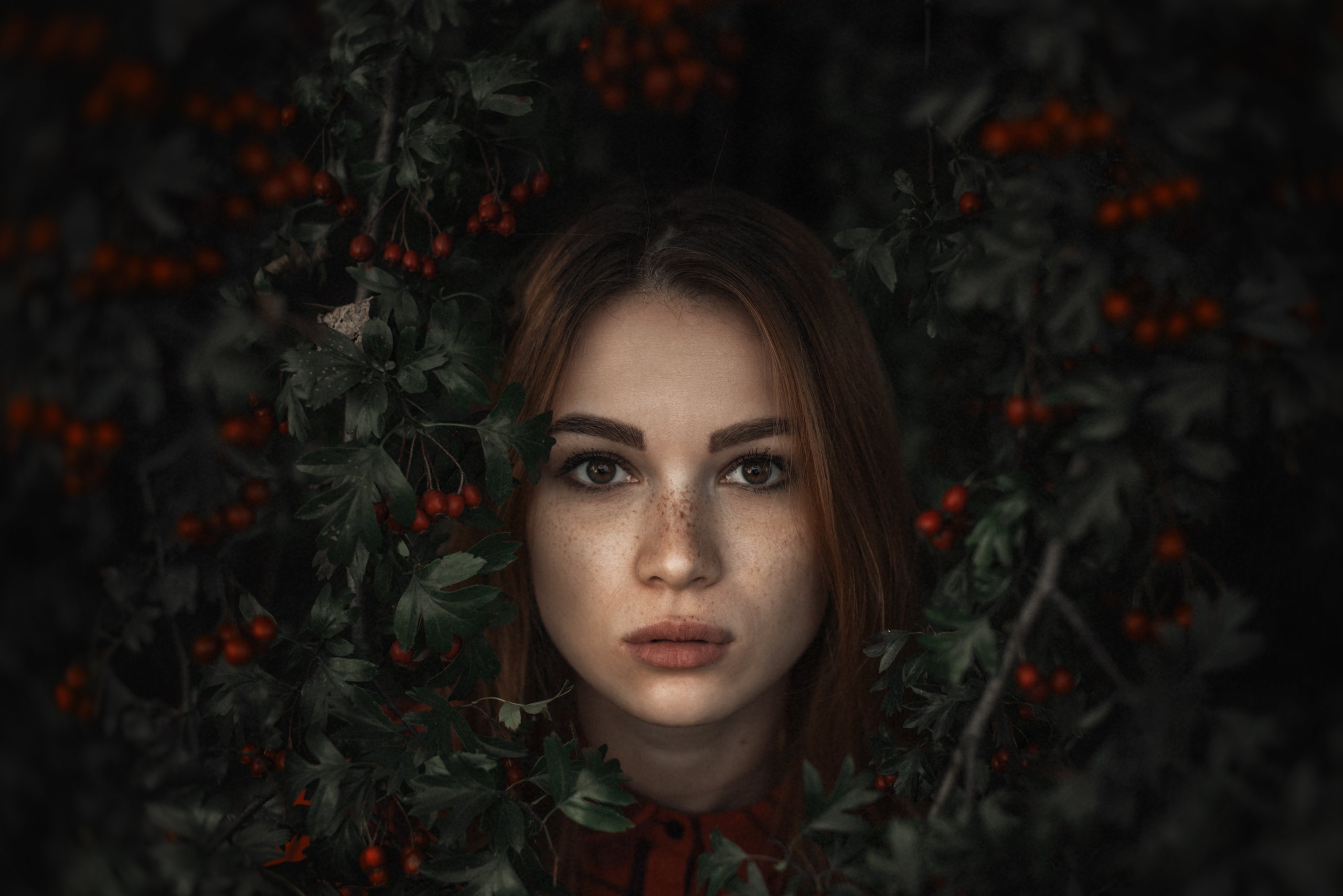 портрет, девушка, красные ягоды, взгляд, Александр Тишкевич
