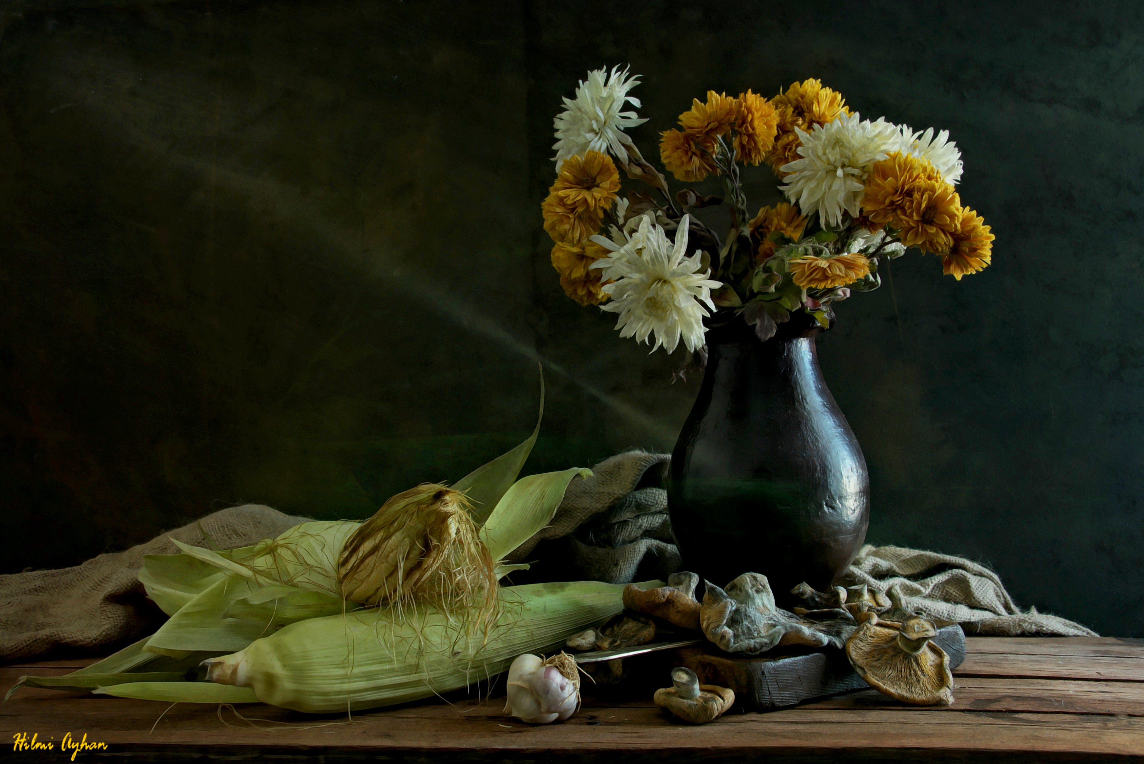 Stillife, hilmi ayhan