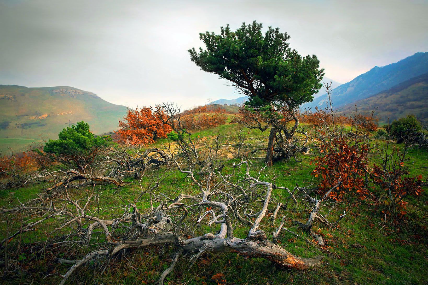 горы,осень,природа,дагестан., Marat Magov