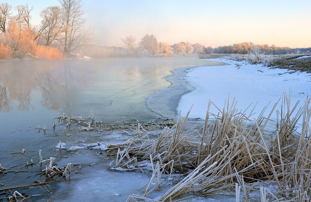 зима, утро, мороз, река, Роман Шебанов
