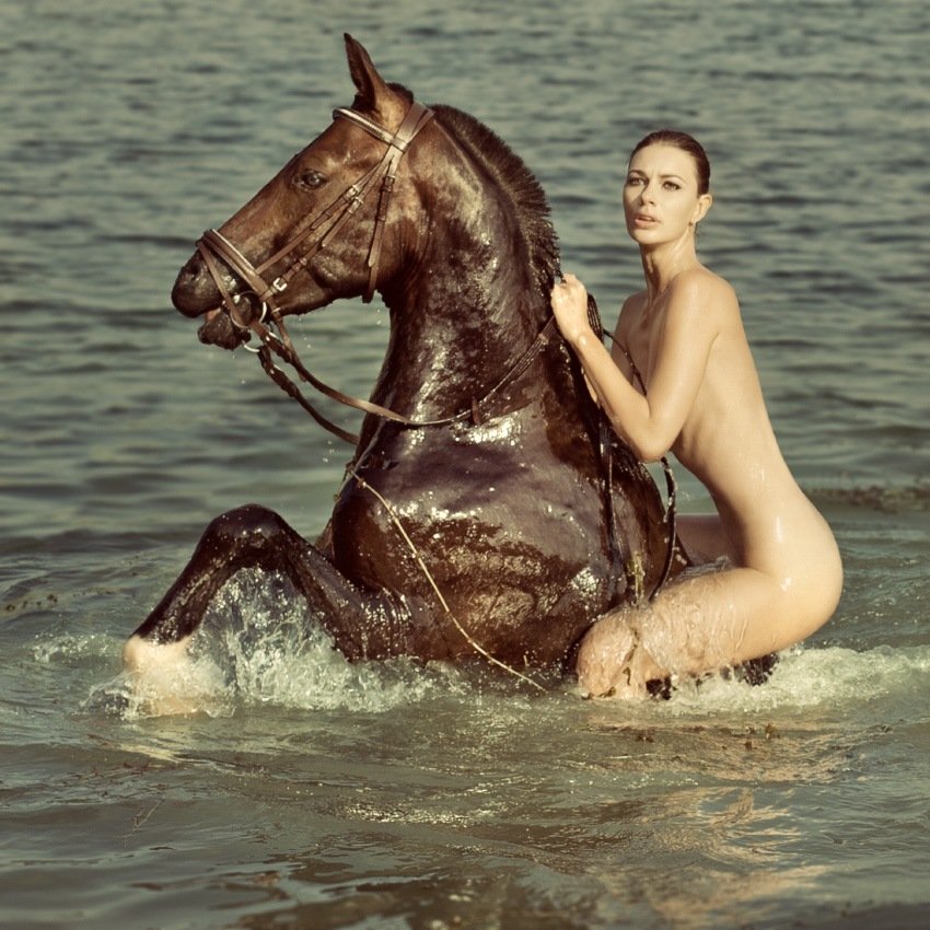 лошадь, horse, Олищук Ирина