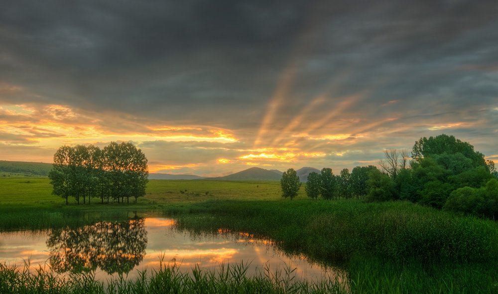sunset, lake, tree, rays, Philip Peynerdjiev