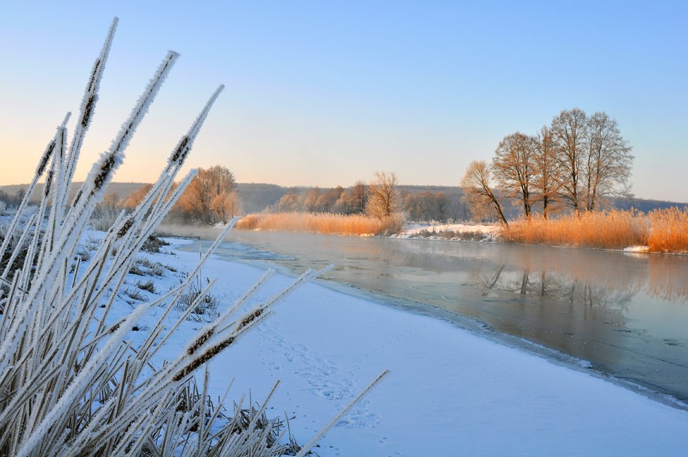 утро, зима, тишина, река, Роман Шебанов