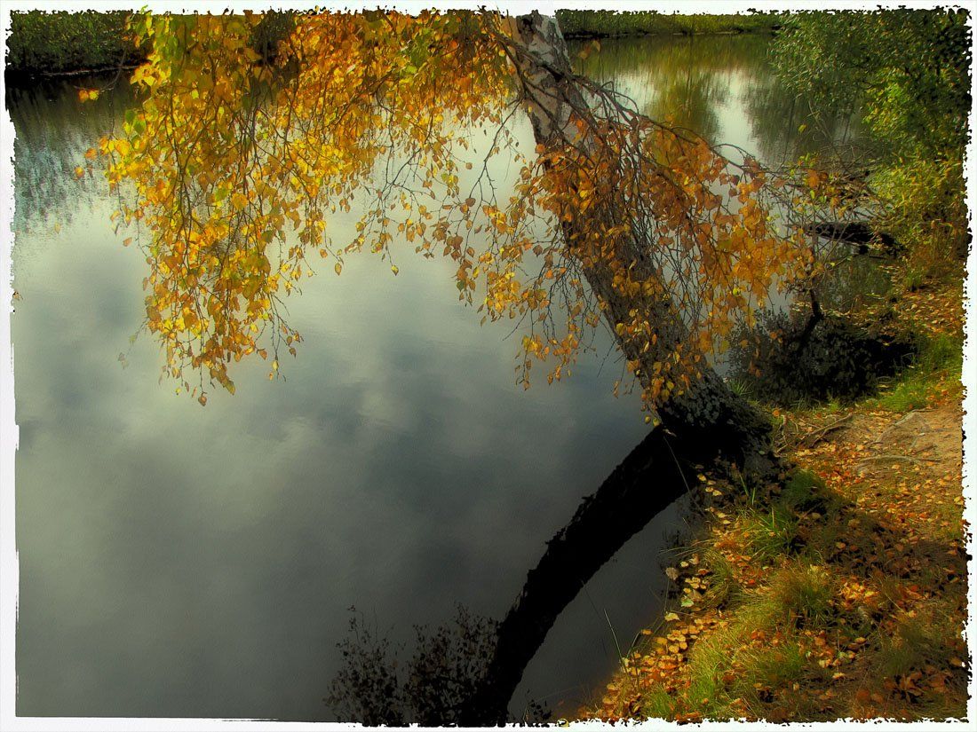 осень, природа, пейзаж, SvetLana