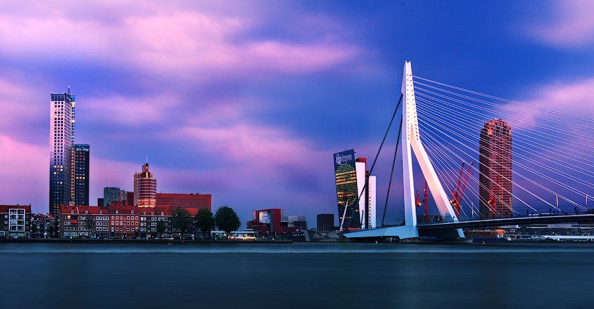 роттердам, голландия, нидерланды, мост, здания, Igor N.