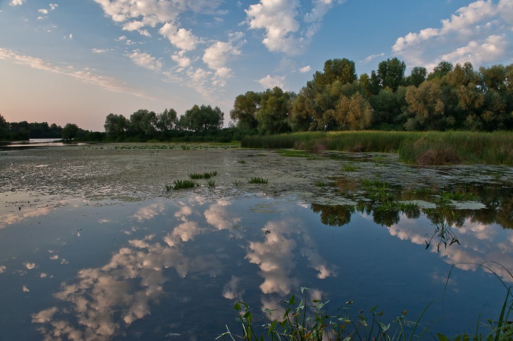 киев,десенка,вечер,облака,лето,залив,, Elena