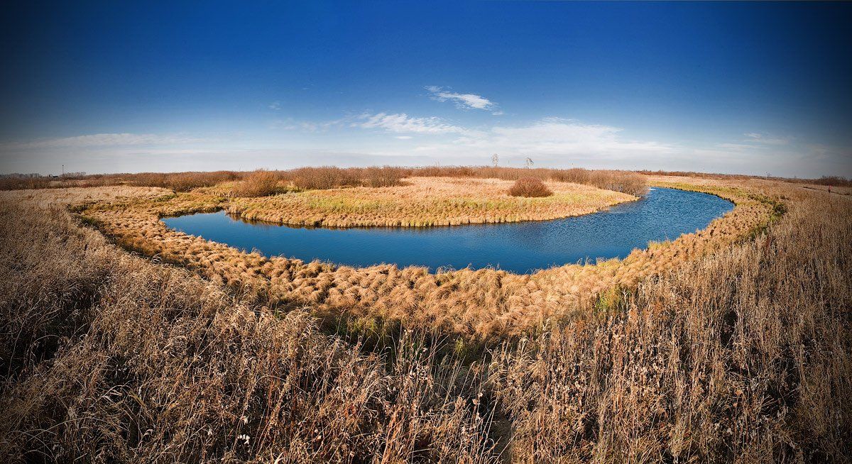 вода, небо, трава, желтое, горизонт, Андрей Заржецкий
