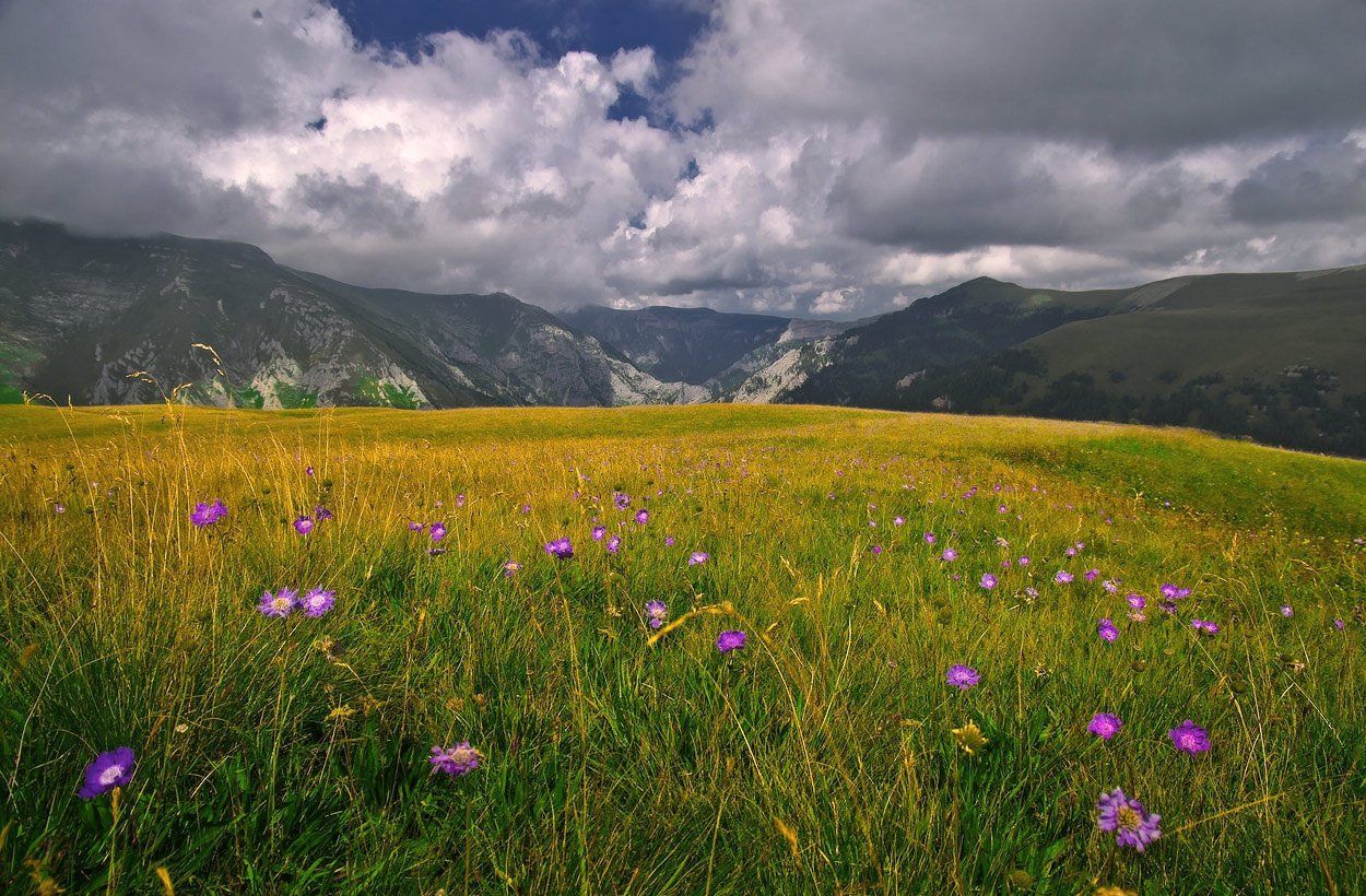 Луга красивые места для фото