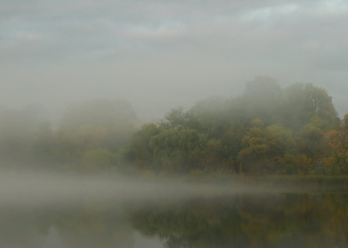туман, река, утро, Марина Брыдня