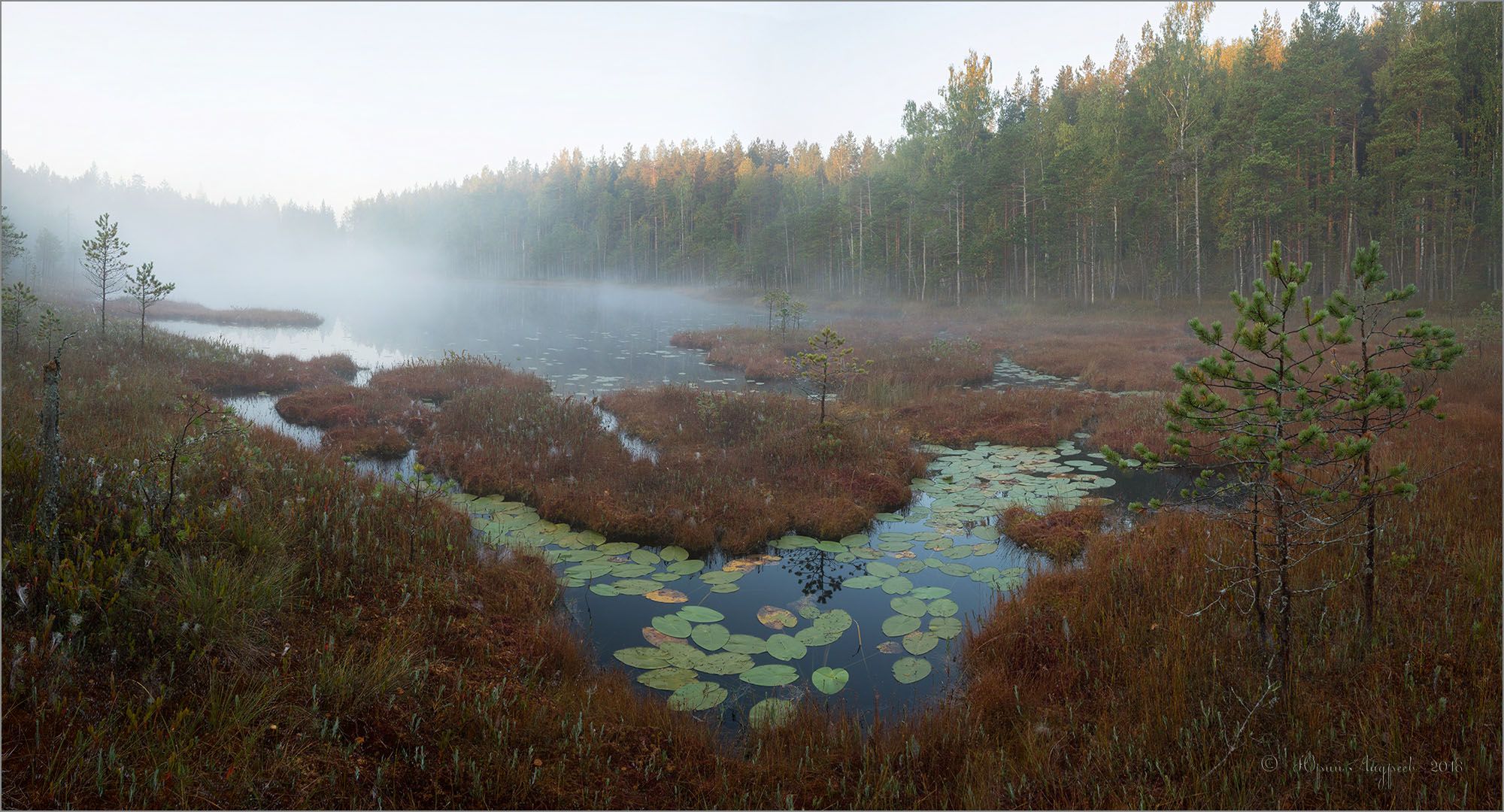 озеро болото туман лес, Юрий Андреев
