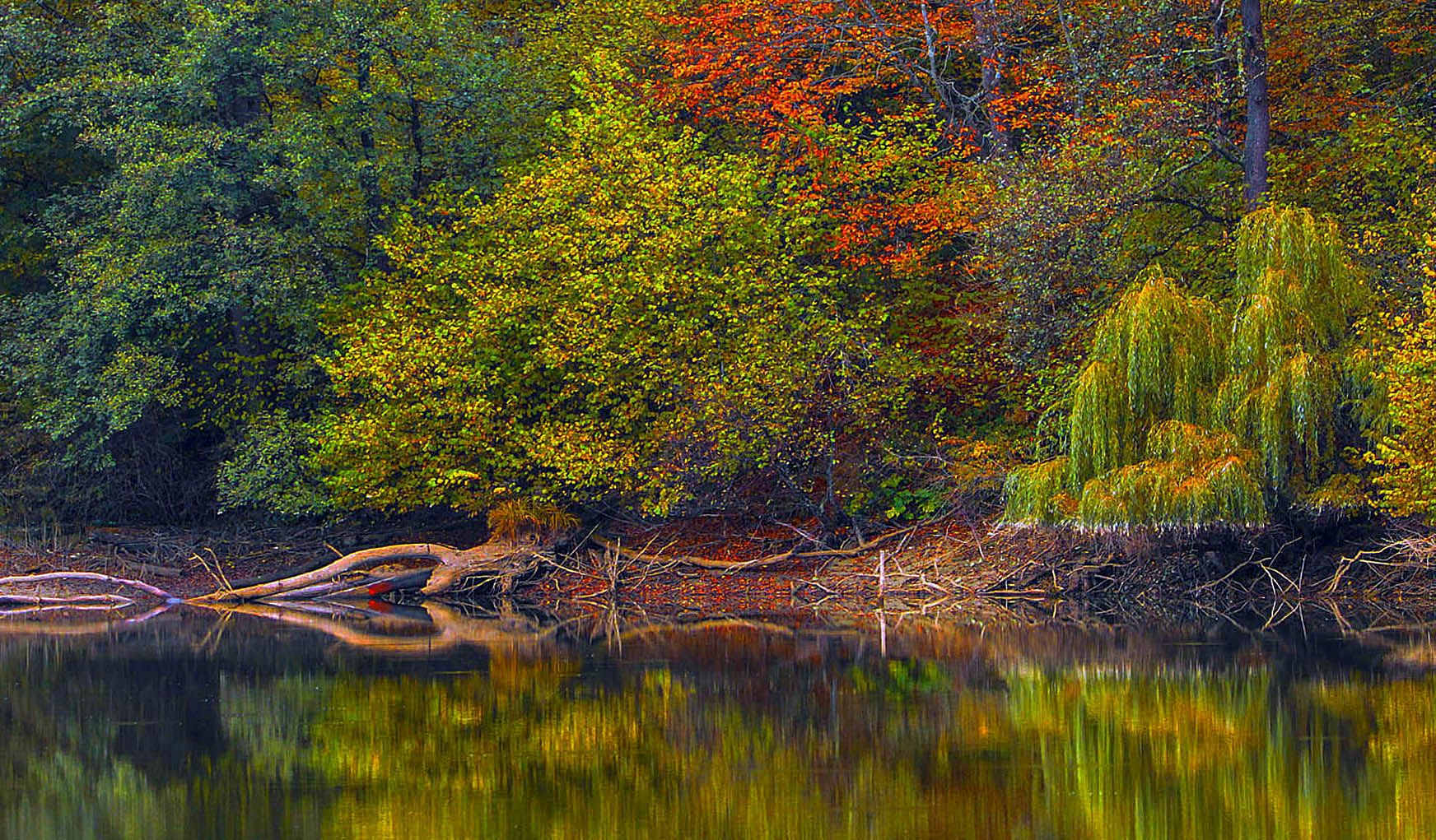 озеро,деревья,осень,кабардино балкария, Marat Magov