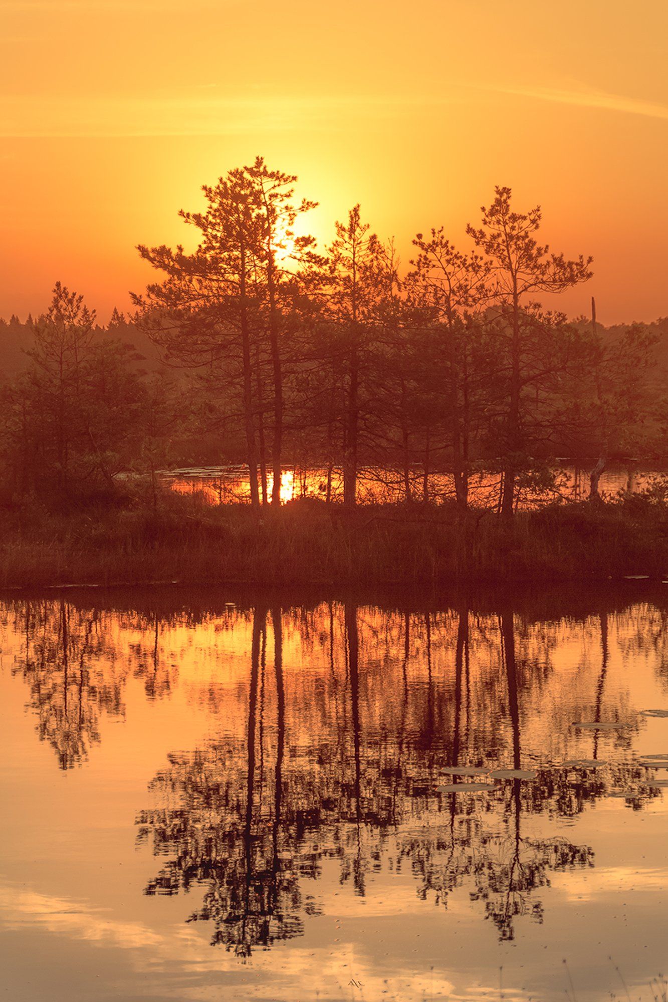 landscape, sunrise, colors, lithuania, marsh, reflection, Руслан Болгов (Axe)