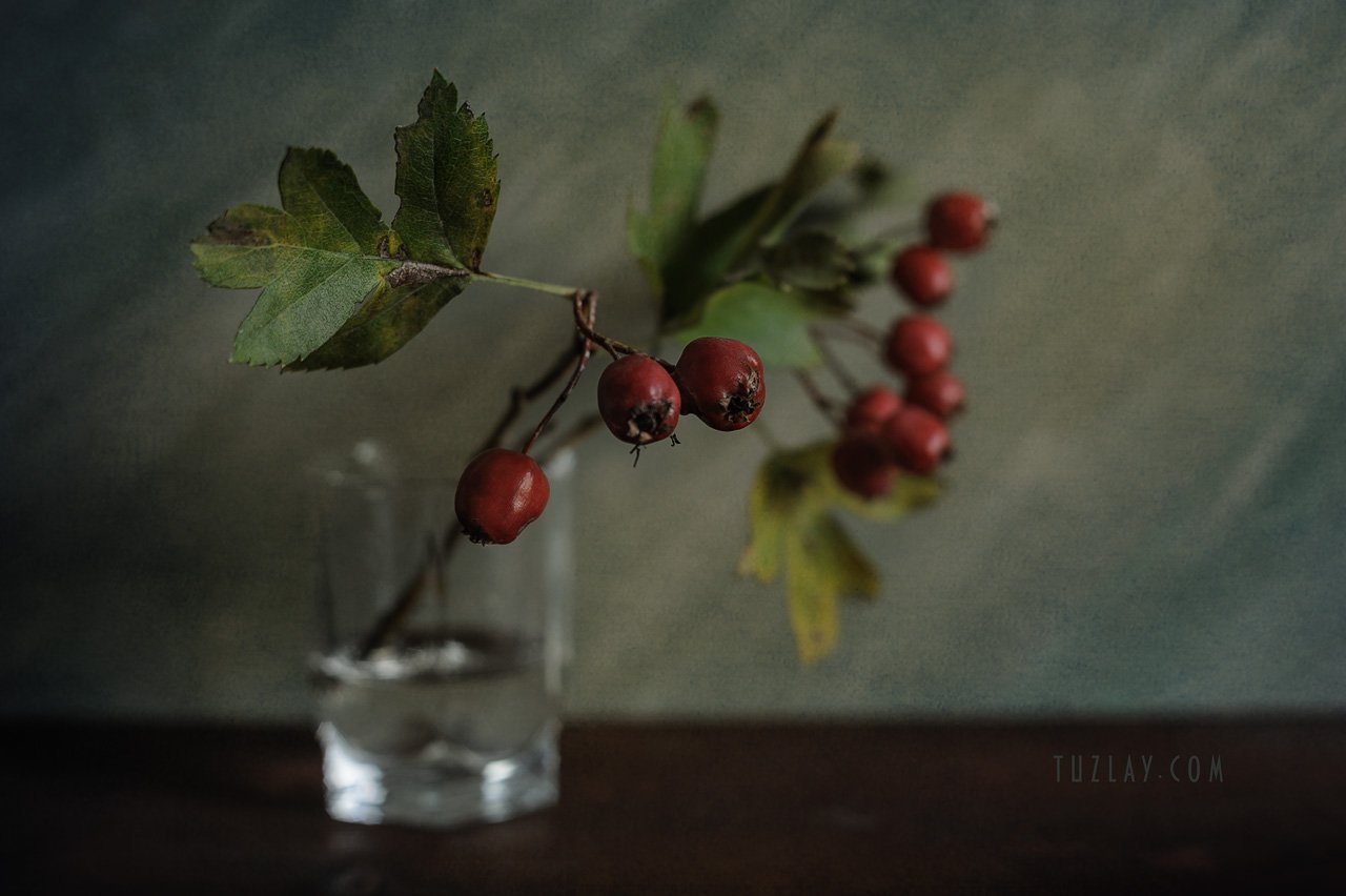боярышник, стакан, красные ягоды, осень в стакане, Владимир Тузлай